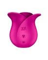 Stimulateur de clitoris rose par ondes de pression ou sans contact Pro 2 Modern Blossom Satisfyer - CC597841