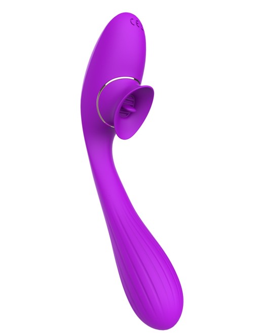 2 en 1 Stimulateur de clitoris avec langue et vibromasseur pour G USB flexible violet DISA - WS-NV025