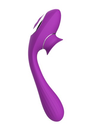 2 en 1 Stimulateur de clitoris avec langue et vibromasseur pour G USB flexible violet DISA - WS-NV025