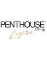 PENTHOUSE